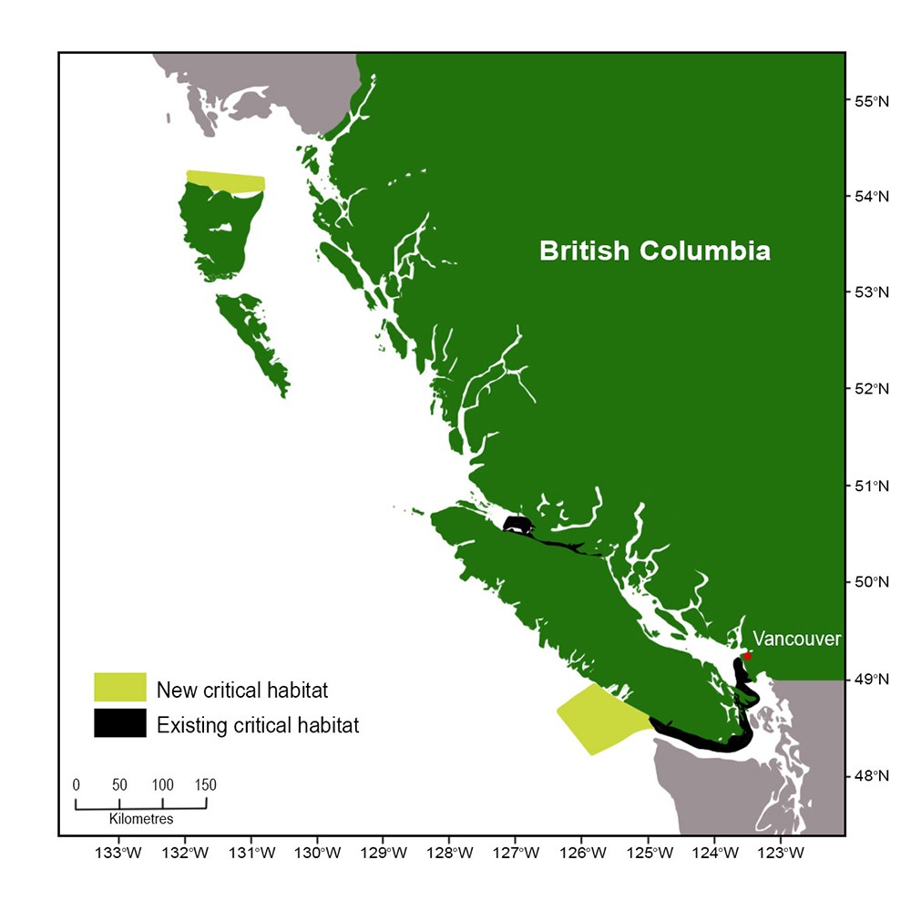 map showing the new critical habitat areas for orcas off the west coast of Canada